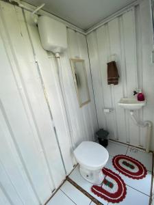 a bathroom with a white toilet and a sink at Chalé Bus Ponto Z in São Bento do Sapucaí