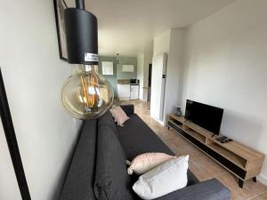Una sala de estar con un sofá y un televisor. en Charmant logement avec parking privé., en Veules-les-Roses