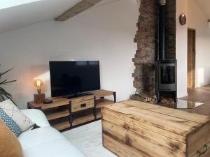 sala de estar con TV y chimenea en Magnifique appartement Savoie Vue montagne* en Saint-Baldoph
