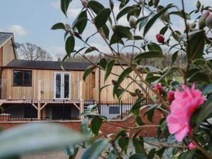 a wooden house with a pink flower in front of it at May Cottage in Llanfyllin