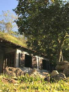 a house with a grass roof and a tree at Abrigo Cantareira in Mairiporã