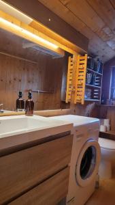 a bathroom with a sink and a washing machine at Le Petit Chalet du Chinaillon in Le Grand-Bornand