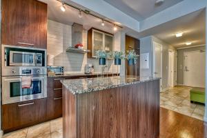 a kitchen with wooden cabinets and a counter top at Downtown Apartments 16 in Toronto