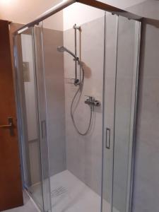 a shower with a glass enclosure in a bathroom at Appartamento Manuela in Pieve Di Ledro