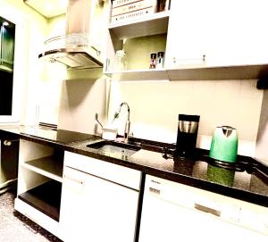 a kitchen with a sink and a counter top at Business- Apartment Worms # guesthouse- Monteure willkommen in Worms