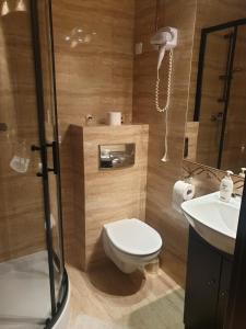 a bathroom with a toilet and a shower and a sink at Słoneczny Dworek in Dąbki +38 photos