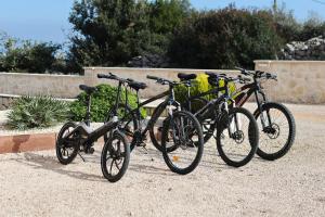 Jazda na bicykli v okolí ubytovania Apartman Sipina 2