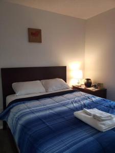 ein Schlafzimmer mit einem Bett mit einer blauen Decke in der Unterkunft Walk 2mins to Shopping & Bussing,1-Bed Room Suite in Fort McMurray