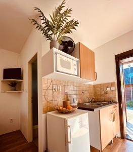 - une cuisine équipée d'une plante au-dessus d'un four micro-ondes dans l'établissement Bamboo Rooms, à Štúrovo