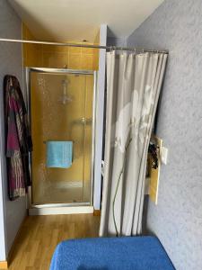 a bathroom with a shower curtain and a window at Le Petitepinay in Moitron-sur-Sarthe