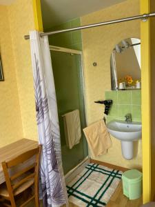 a bathroom with a shower and a sink at Le Petitepinay in Moitron-sur-Sarthe