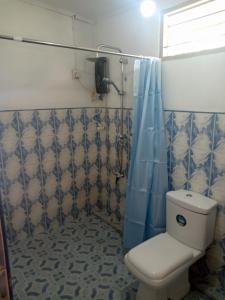 a bathroom with a toilet and a blue shower curtain at Maliga Inn in Gampola