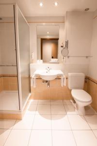 La salle de bains est pourvue d'un lavabo, de toilettes et d'une douche. dans l'établissement Hotel de la Poste - Relais de Napoleon III, à Bouillon