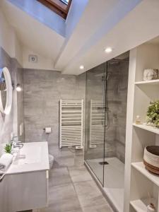 ein Bad mit einer Dusche, einem WC und einem Waschbecken in der Unterkunft Le T3 du Carnot in Annecy