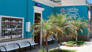 Fotografie z fotogalerie ubytování Hotel Garden Wilson v destinaci Iquique
