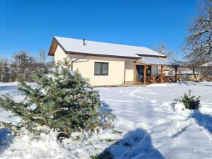 a house with a christmas tree in the snow at Къща за гости Софаш 