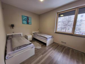 1 dormitorio con 2 camas y ventana en Modern Living in Budapest, en Budapest