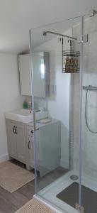 een glazen douche in een badkamer met een wastafel bij Garden Cottage in heart of Kent in Kent