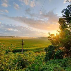 un campo aperto con palo del telefono in primo piano di Agriturismo Il Campagnino a Cremona