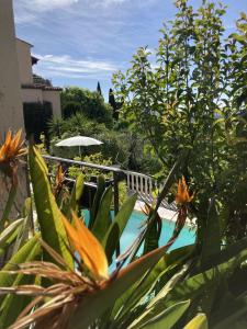 een zwembad met een parasol en een aantal planten bij les petites terrasses in Grasse