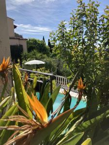 a swimming pool with an umbrella and some plants at les petites terrasses in Grasse
