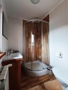 a bathroom with a shower and a sink at Dom na Smyrakach in Zawoja