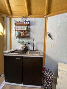 een keuken met een wastafel en een aanrecht bij Glamping-Sky Dome Yurt-Tiny House-2 by Lavenders field in Valley Center