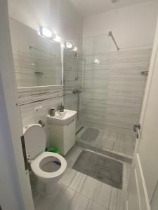 bagno bianco con servizi igienici e doccia di Apartament Claudia a Baia Mare