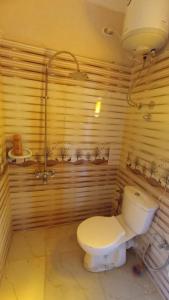 a bathroom with a toilet and a shower at Nubian Bayt Ward in Siwa in Siwa