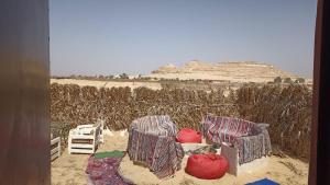 two chairs sitting in the sand next to a field at Nubian Bayt Ward in Siwa in Siwa