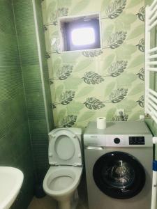 a small bathroom with a toilet and a washing machine at T&M Cottages in Bakuriani