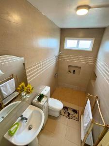 La salle de bains est pourvue d'un lavabo et de toilettes. dans l'établissement La Residence Emmaüs, à Rodrigues Island