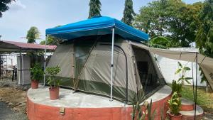une tente avec un auvent bleu dans une cour dans l'établissement Dharma Casa Holistica, Vivero, Yoga y Retiros, à Chame