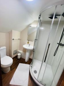 a bathroom with a shower and a toilet and a sink at Burntisland House in Burntisland