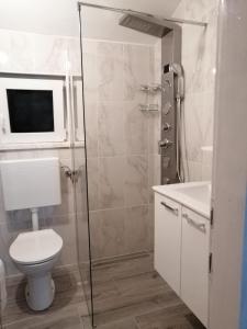 een badkamer met een toilet, een wastafel en een douche bij Apartment Happy 2 in Pakoštane