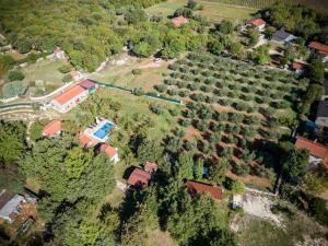 een luchtzicht op een huis met een tuin met bomen bij STANZIA Santa Brigida in Rovinj