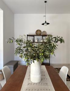 a dining room table with a potted plant on it at Anerada Cottages in Apsiou