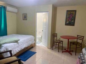 a bedroom with a bed and a table and chairs at apartaestudio santo domingo a 40 minutos playa. in Los Tres Brazos