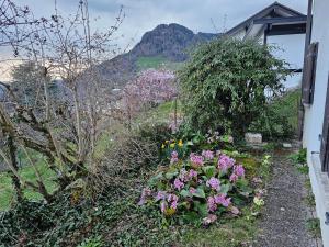 einen Garten mit Blumen an der Seite eines Hauses in der Unterkunft La Pergola in Montreux