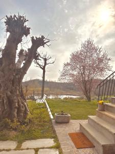 a statue of a tree sitting next to a staircase at Holiday Home Sovenigo in Puegnago