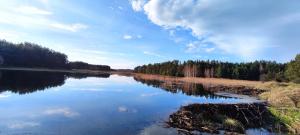 Elle offre une vue sur un lac avec des arbres et un ciel nuageux. dans l'établissement Ranczo Czerwony Młyn, à Zdów