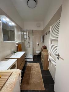 松博特海伊的住宿－Bonvenon，一间带两个盥洗盆、淋浴和卫生间的浴室
