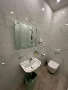紐倫堡的住宿－City Apartments - Nürnberg Altstadt，白色的浴室设有水槽和卫生间。