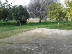a dirt driveway in a field with trees at VILLA DINA in Arkítsa