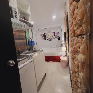 una cocina con fregadero y una cama en una habitación en ROOMS OPERA, en Madrid