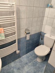 uma casa de banho com um WC branco e azulejos azuis em Apartmán LUCKA em Donovaly