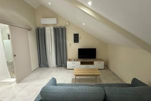 a living room with a couch and a tv at Grand studio charmant, tout équipé… in Saint-Denis