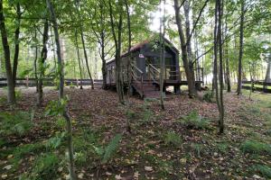 uma casa na árvore no meio da floresta em Hytte Narie 1 em Morąg