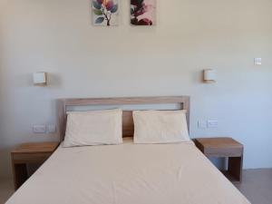una camera da letto con un grande letto bianco con due cuscini di Palms Haven - Mauritius - Modern and luxury vacation home a Phoenix
