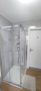 a glass shower stall in a room with a door at Apartma Soča Oasis in Srpenica